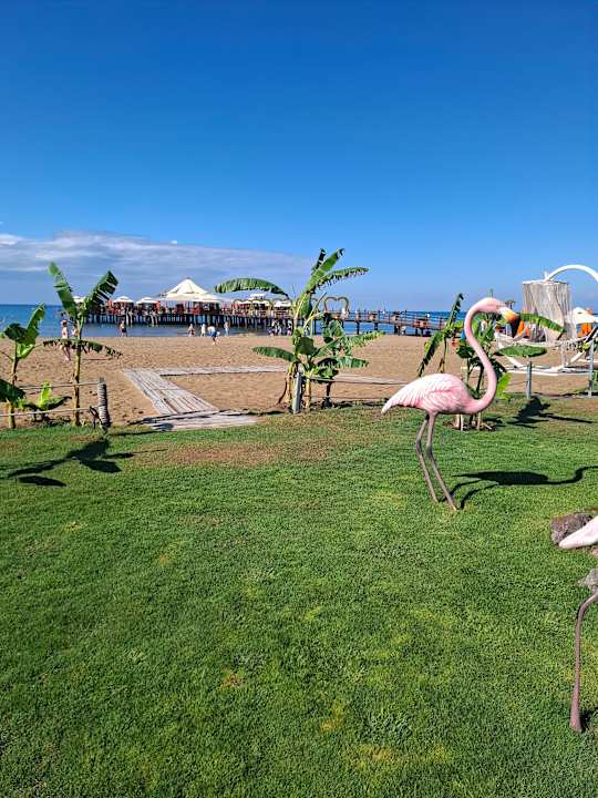 Strand VONRESORT Golden Coast