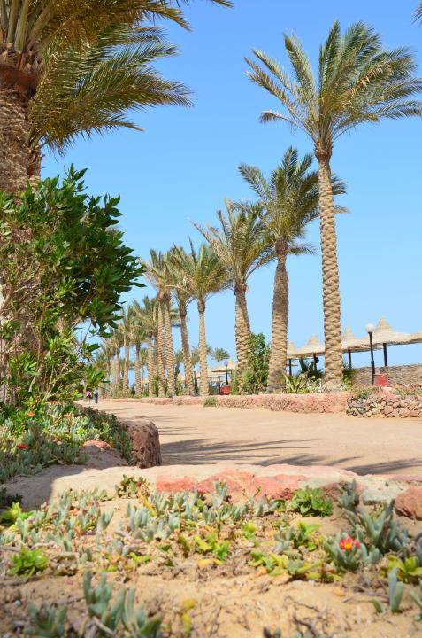 Sandweg zur Marina-Bar Arabia Azur Resort