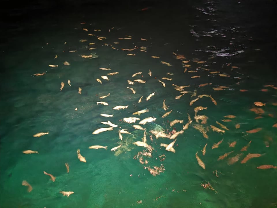 Strand Embudu Village