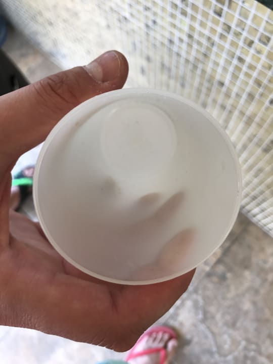 Restaurant Palmeras Beach Hotel