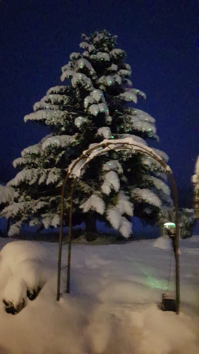 Gartenanlage Landhaus Wildschwendt