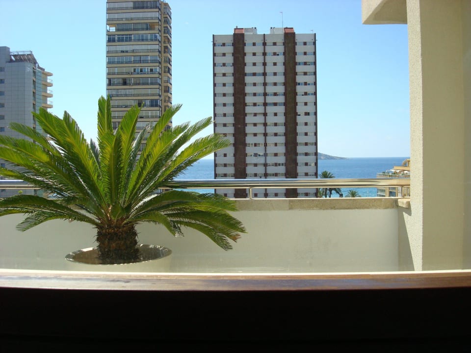 Ausblick vom Pool/ Jacuzzi The Agir Springs Hotel by MedPlaya