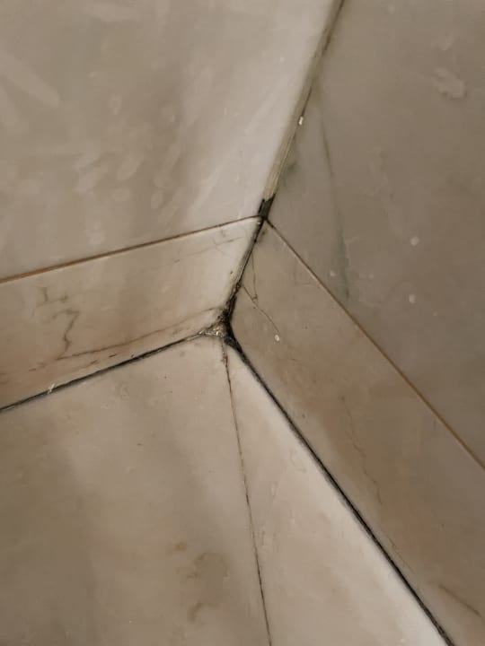 Zimmer Pisa Tower Plaza