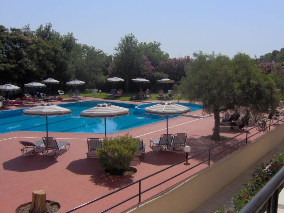 Pool und Garten Hotel Koala