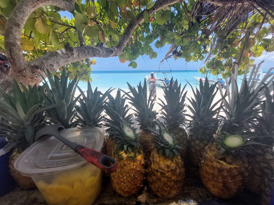 Strand Grand Palladium Punta Cana Resort & Spa