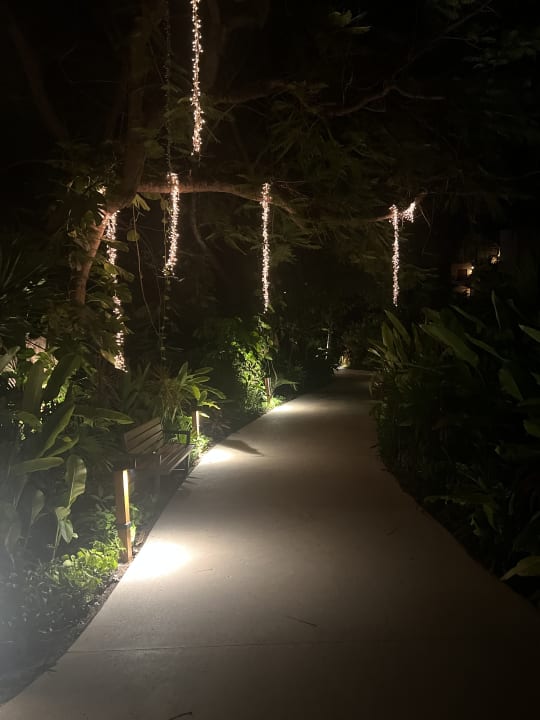 Gartenanlage Secrets Akumal Riviera Maya - Adults only