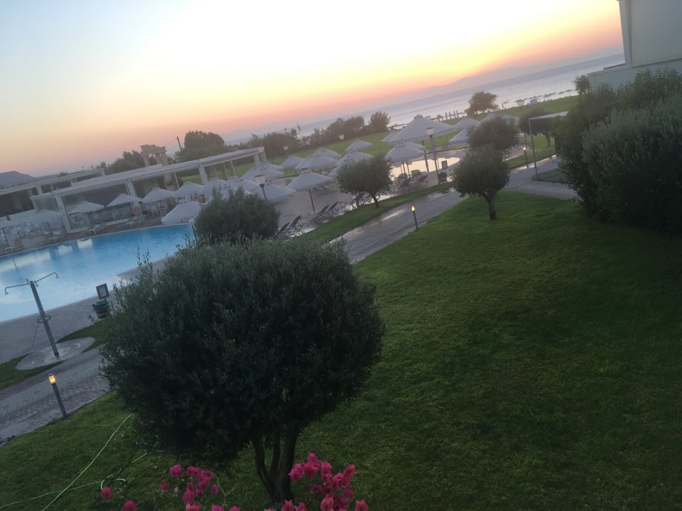 Ausblick Apollo Blue