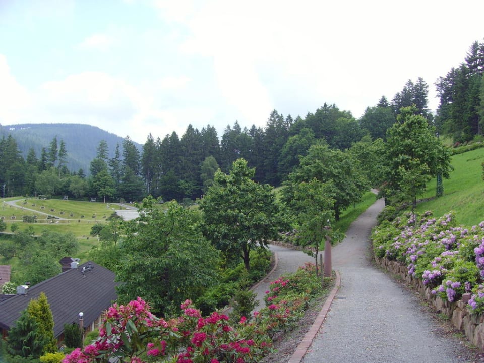 Gartenanlage mit ewigen Spaziermöglichkeiten Schwarzwald Resort Dollenberg
