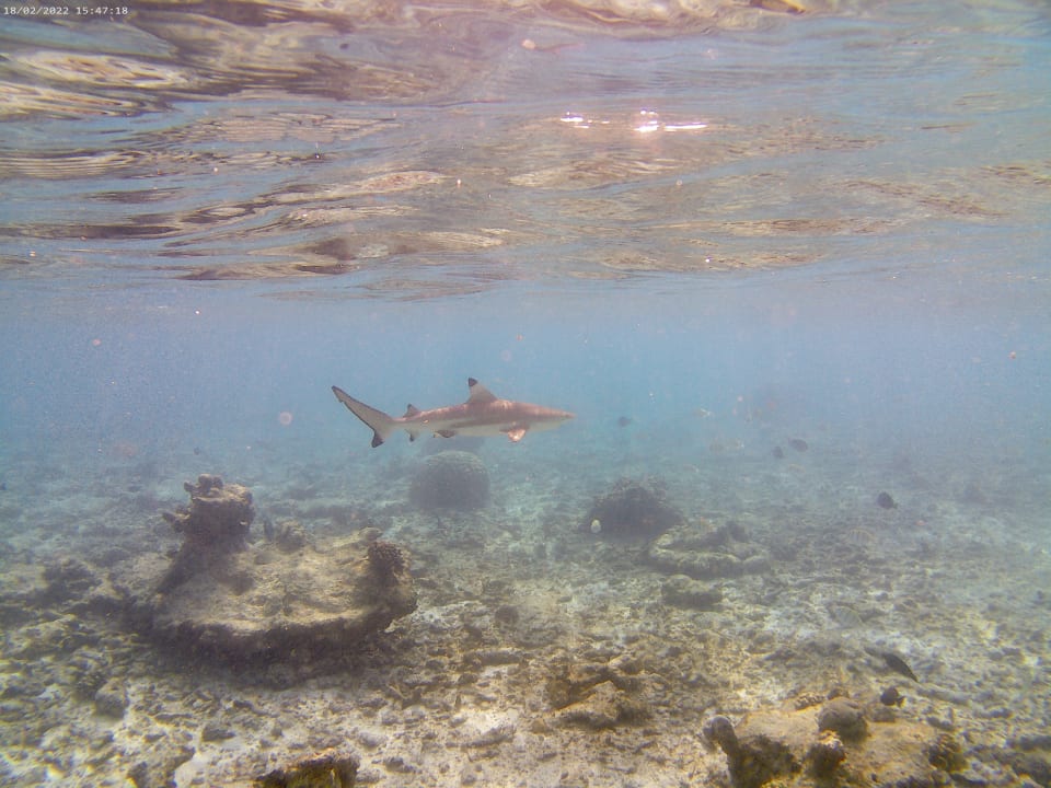 Sport & Freizeit Adaaran Select Hudhuran Fushi - Premium All Inclusive