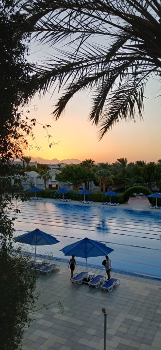 Außenansicht Desert Rose