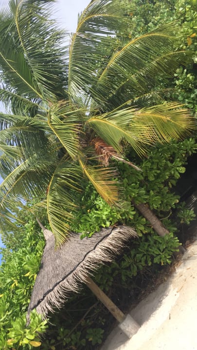 Gartenanlage NH Collection Maldives Havodda Resort