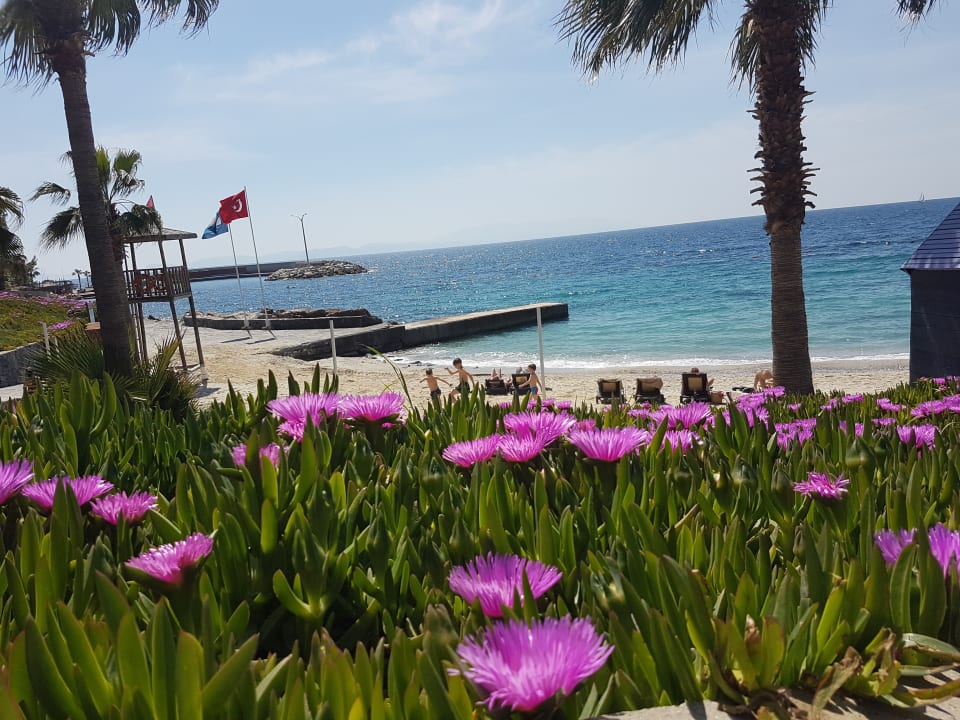 Strand Hotel Pine Bay Holiday Resort