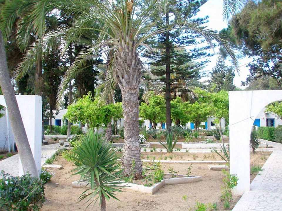 Ogród The Club Hammamet