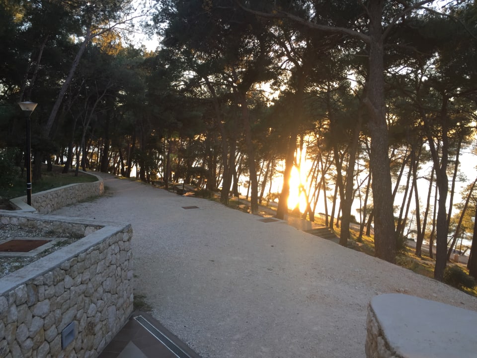 Außenansicht Hotel Aurora