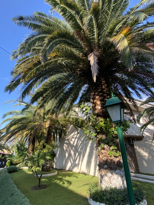 Gartenanlage Alexandra Beach Thassos Spa Resort