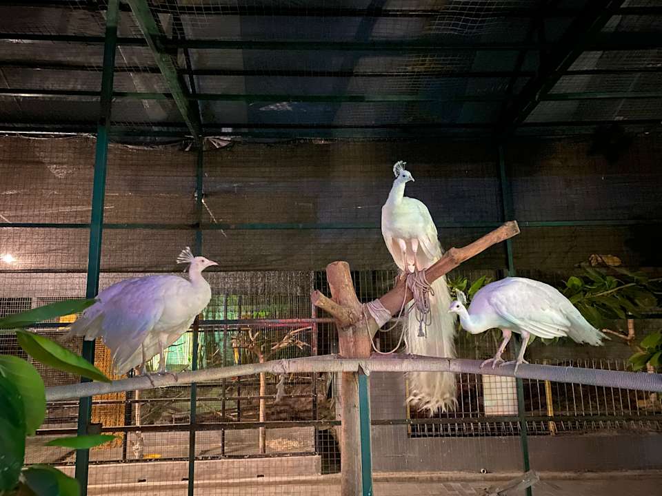 Gartenanlage Aston Cirebon Hotel and Convention Center