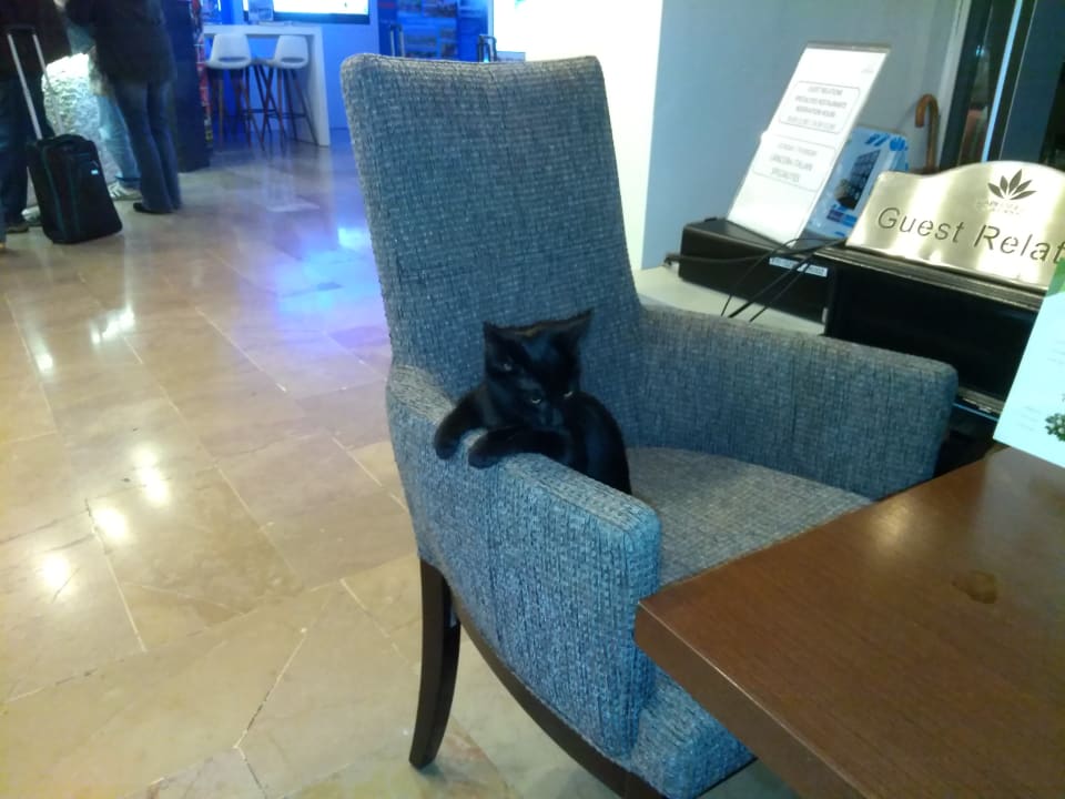 Lobby Labranda Alantur Resort