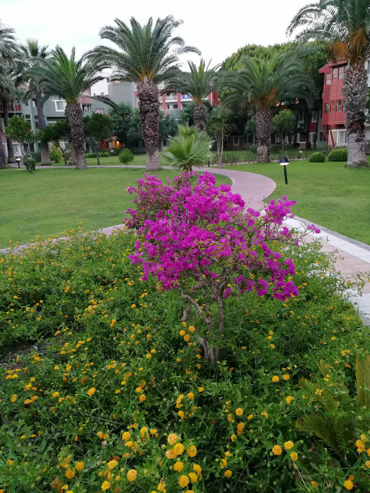 Gartenanlage Megasaray Club Belek