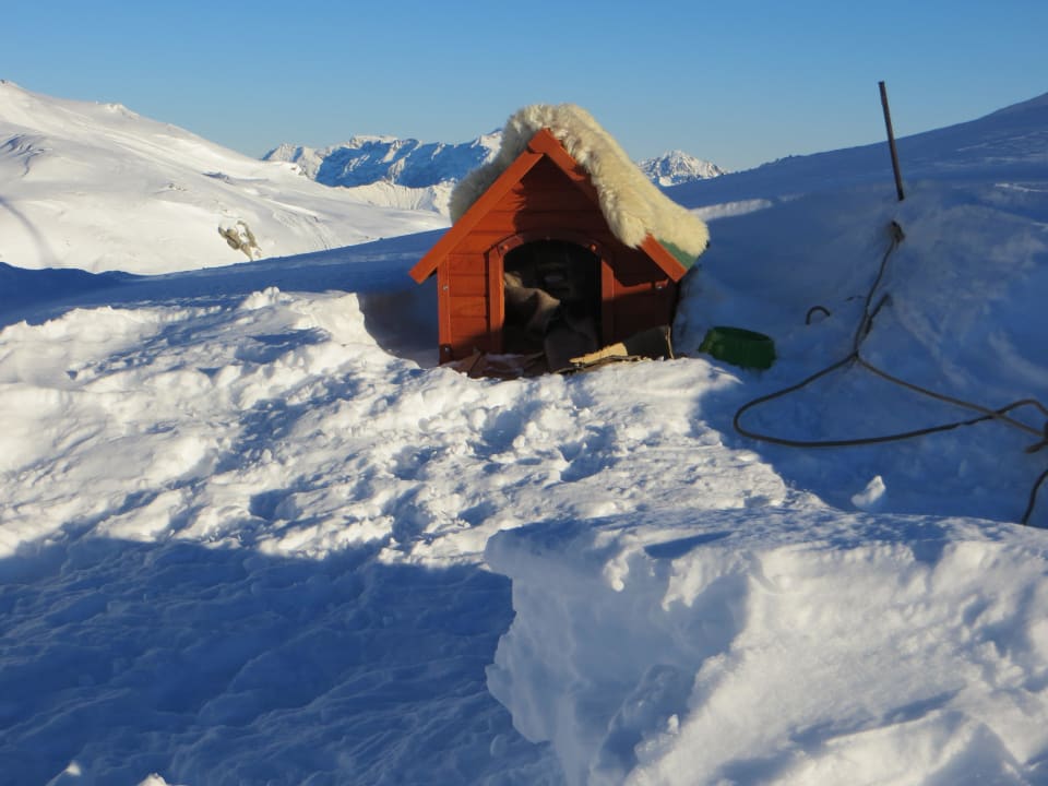 Hütte vom Iglu-Hund Iglu-Dorf Davos Klosters