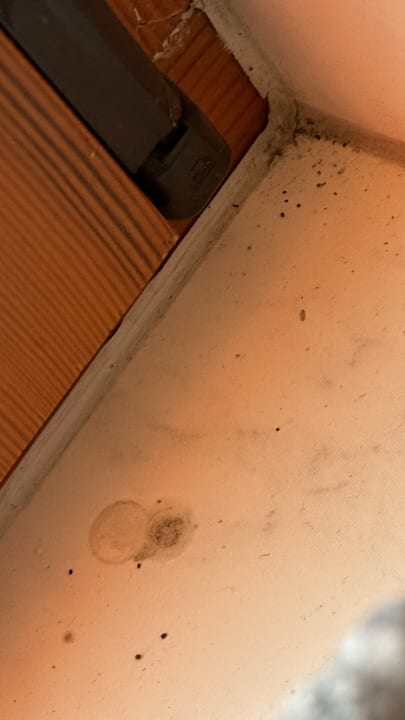 Zimmer Ferienzimmer Healing und Montuerwohnung