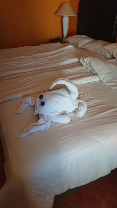 Zimmer Arabia Azur Resort