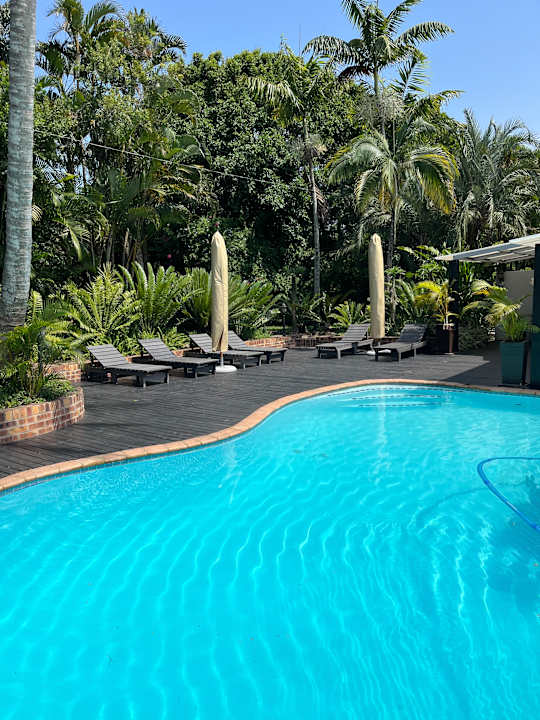 Pool St Lucia Leopard