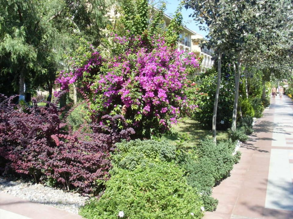 Der wunderschöne Garten Belek Beach Resort Hotel