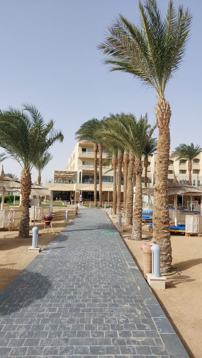 Außenansicht Beach Albatros Resort