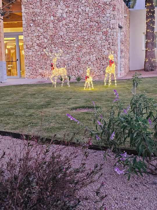 Außenansicht Hipotels Flamenco