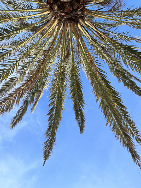 Sonstiges Hotel Grand Teguise Playa