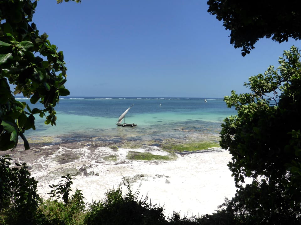 Ausblick vom Garten Baobab Beach Resort & Spa