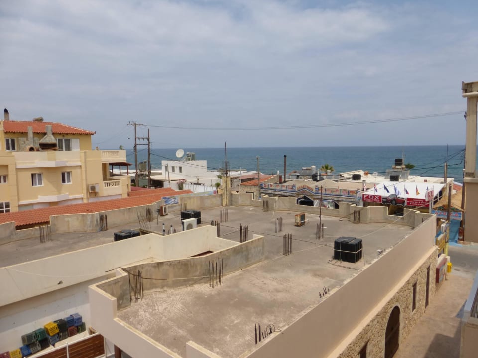 Zimmer 151 Cactus Royal