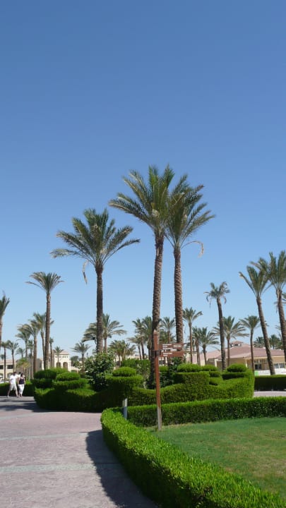 Garten Cleopatra Luxury Resort Makadi Bay