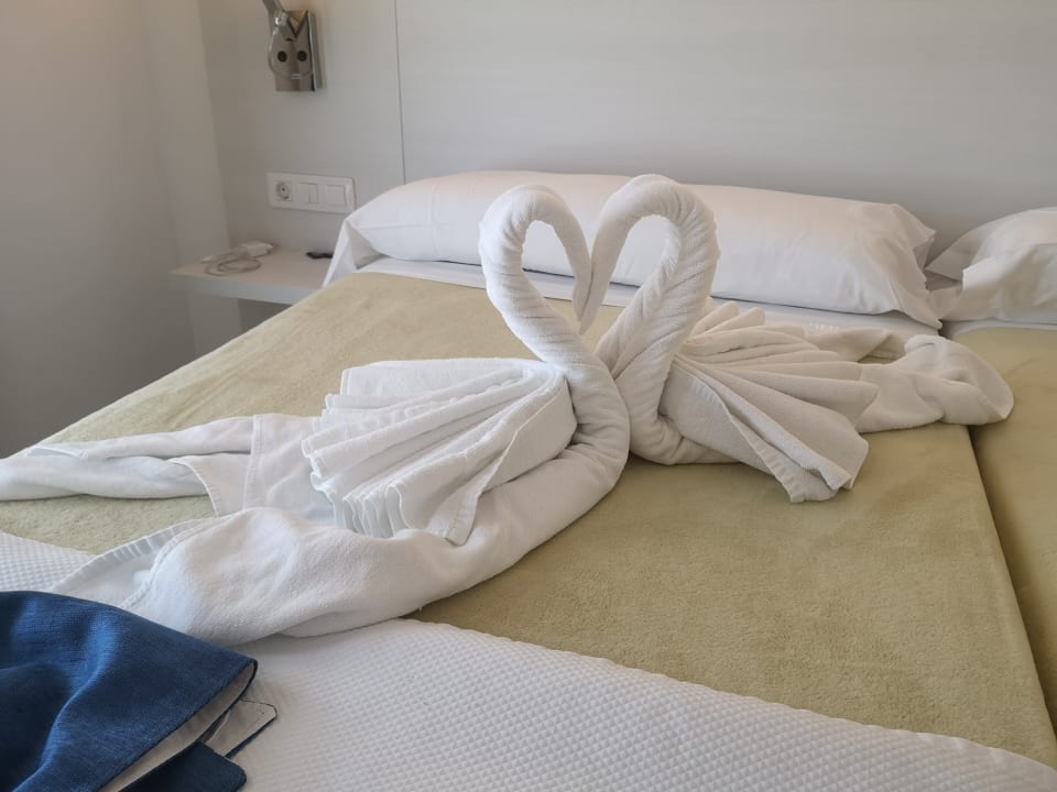 Zimmer Hotel THB Tropical Island