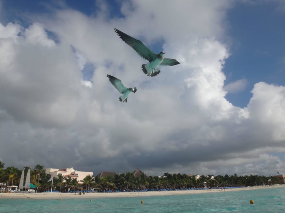Strand Hotel Riu Palace Mexico
