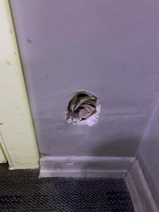 Zimmer lily airport otel