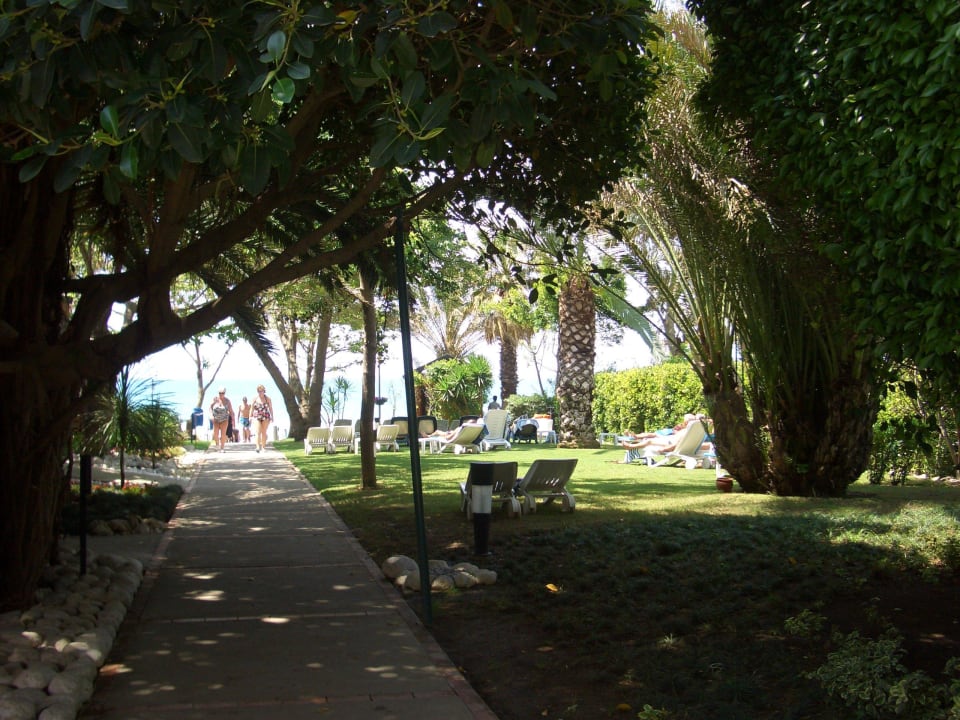 Weg zum Strand Side Star Elegance