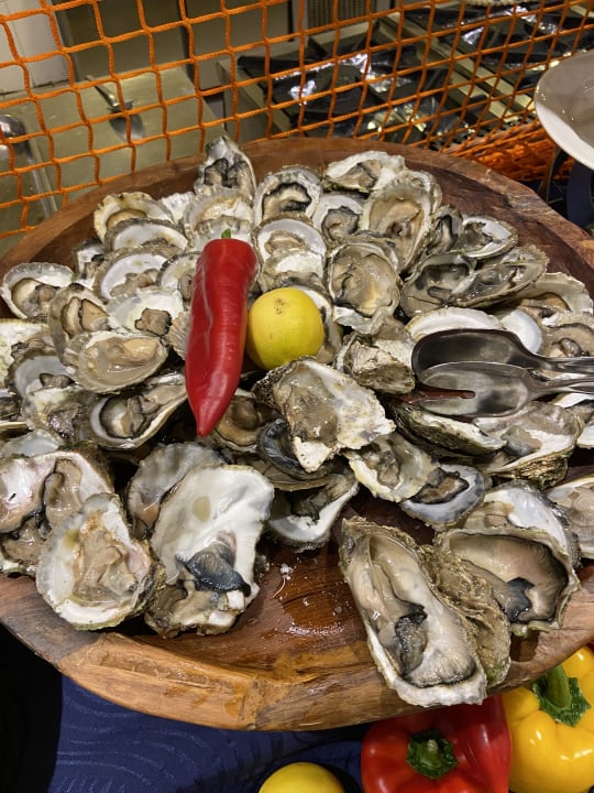 Gastro Hotel Delphin Imperial