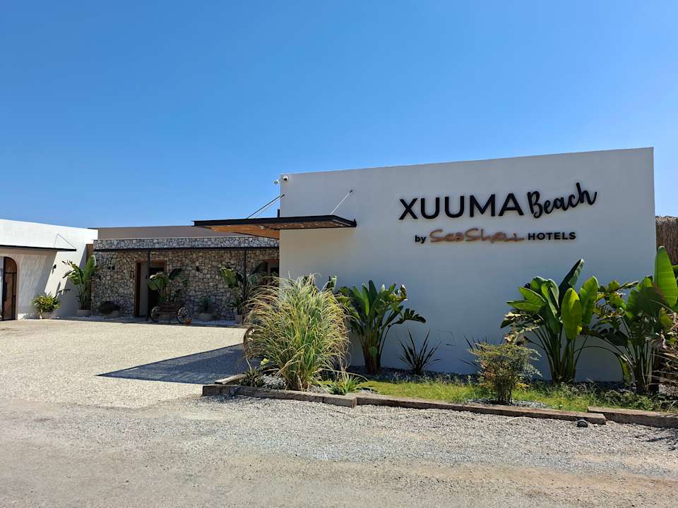 Strand Seashell Vega