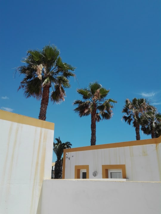 Ausblick MP Club Caleta Dorada