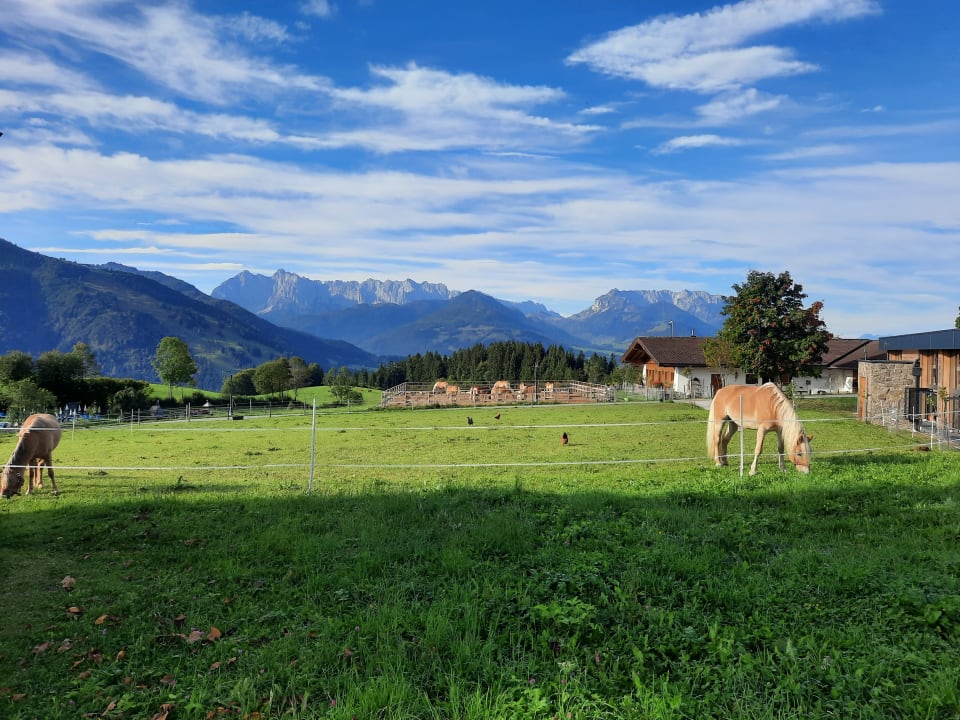 Sonstiges Wohlfühlresort Peternhof