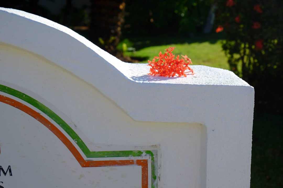 Hotelanlage Hotel Viva Dominicus Palace by Wyndham-All Inclusive Resort