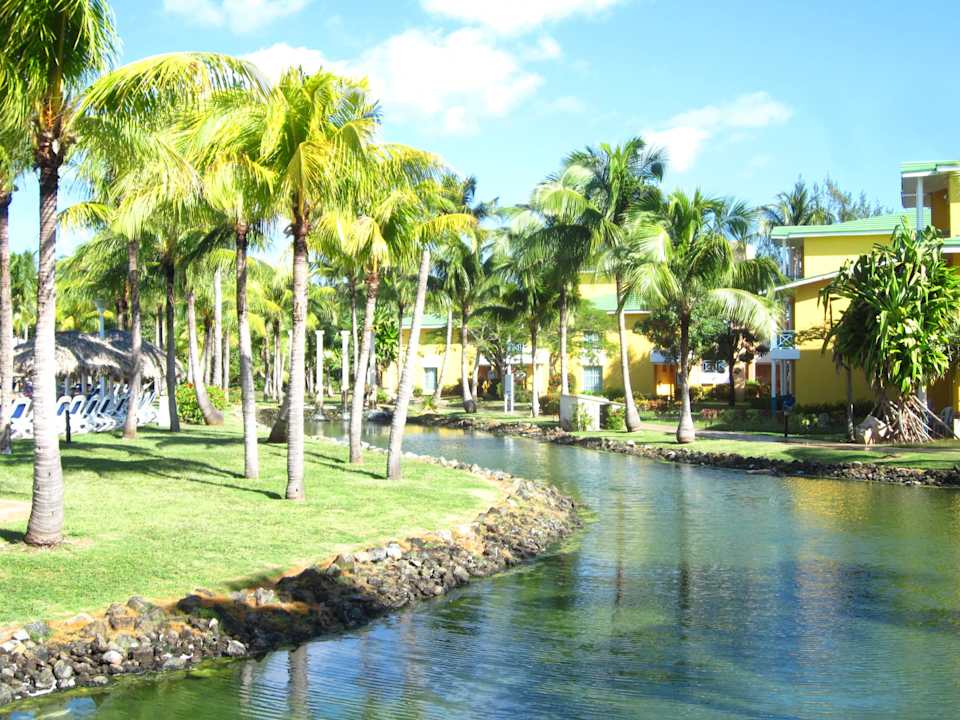 Teichanlage mit 2 Haien, leider voll Algen Melia Las Antillas - Adults only