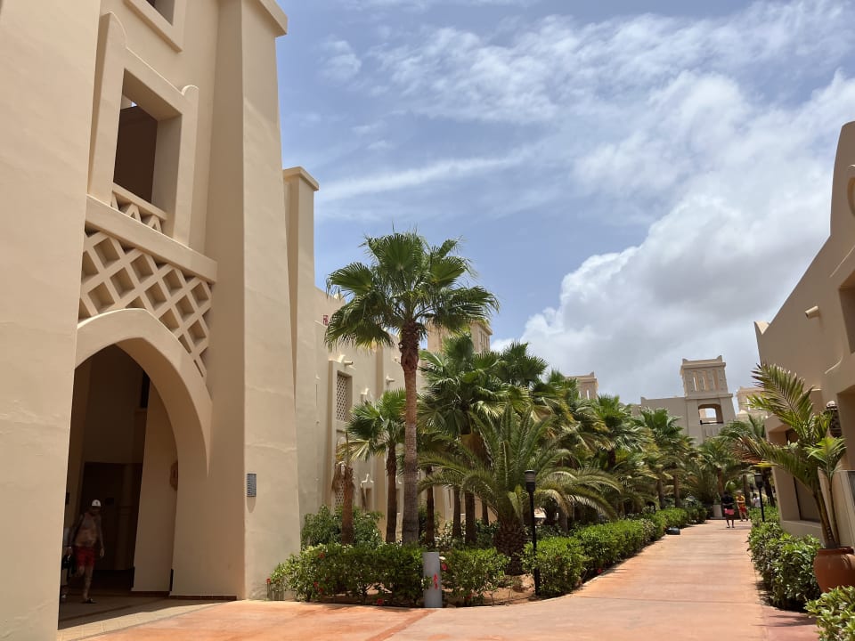 Gartenanlage Hotel Riu Touareg Curral Velho Holidaycheck