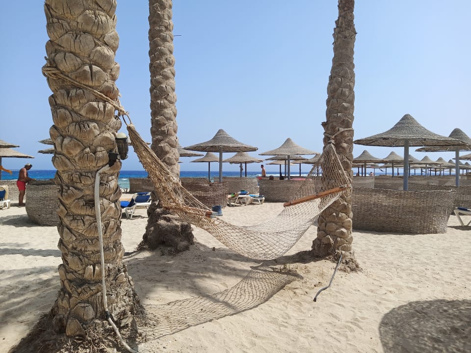 Strand Malikia Resort Abu Dabbab