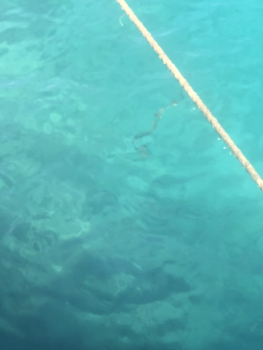 Sonstiges The Grand Hotel Hurghada