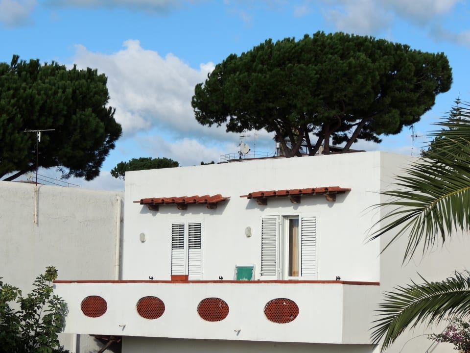 Außenansicht Hotel Terme Royal Palm