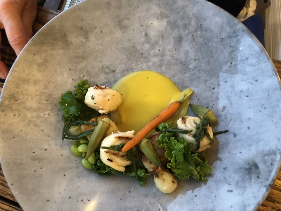 Gastro Lara Barut Collection