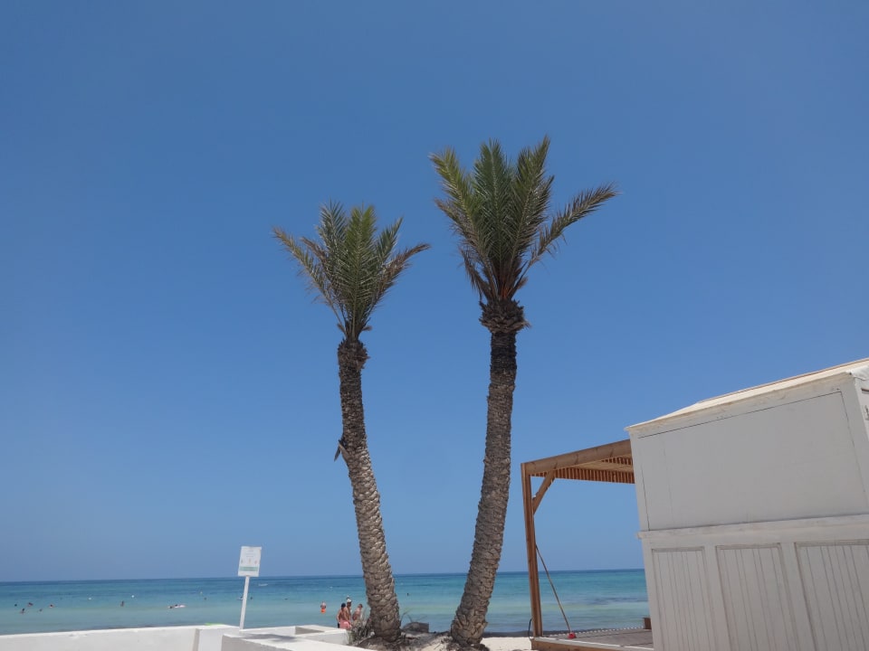 Strand Monarque Dar Jerba Zahra