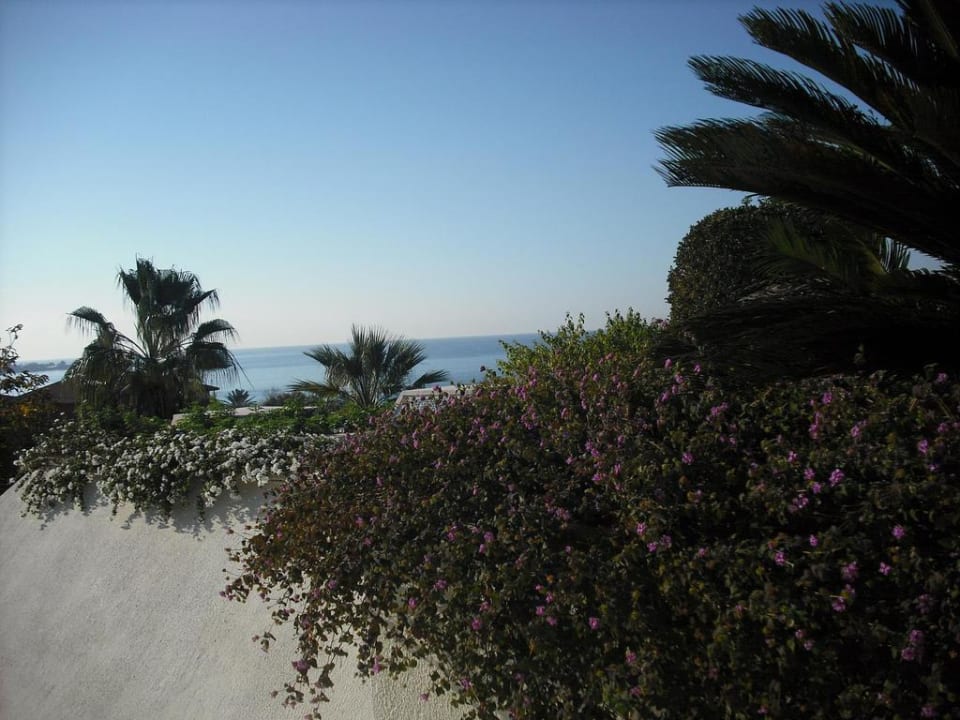 Ausblick Side Star Elegance